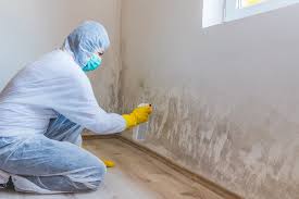 Reliable Aloha, OR Mold Removal Services Solutions