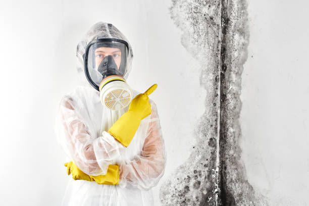 Best HVAC Mold Inspection and Cleaning  in Aloha, OR