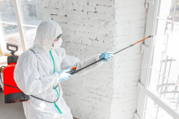 Asbestos and Lead Testing During Mold Inspection in Aloha, OR